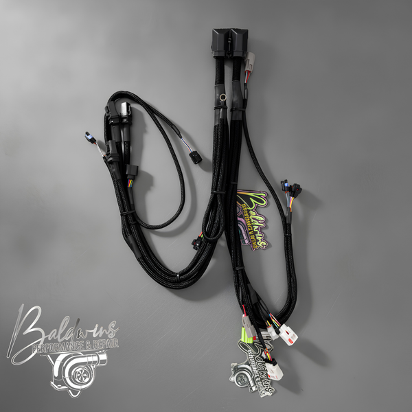 Baldwin's CM849 Standalone ECM Harness | Stock Location | 5.9 Cummins Swap Build | TXL Wire