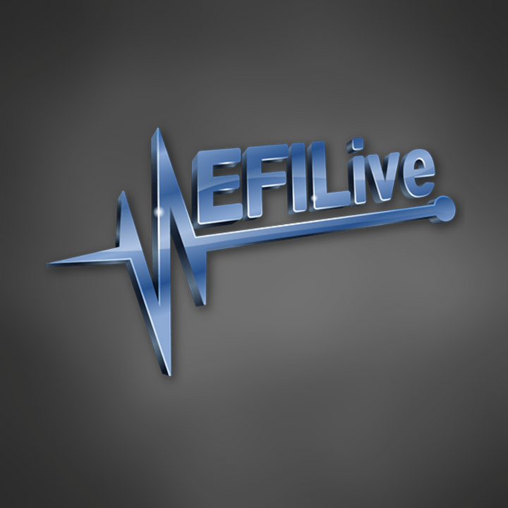 EFI Vin License