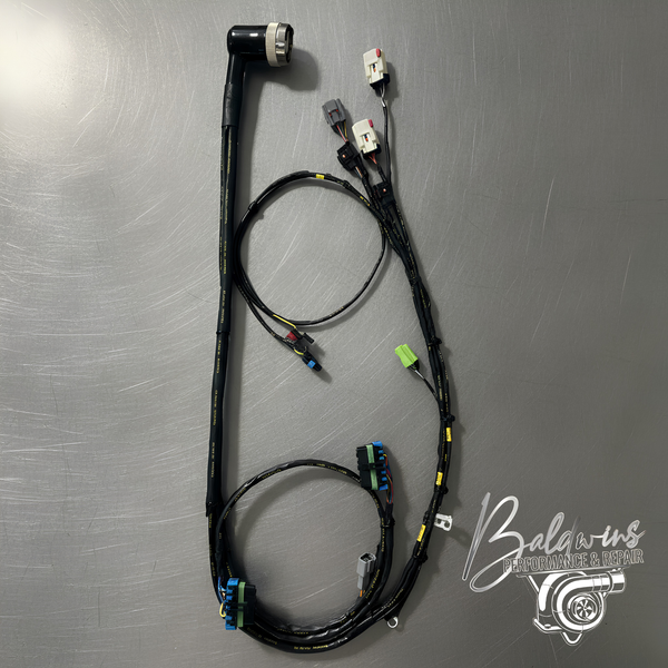 Baldwin's CM849 Motorsport Standalone Harness | Mil-Spec | Raychem DR-25 | In-Cab ECM | 5.9 Swap